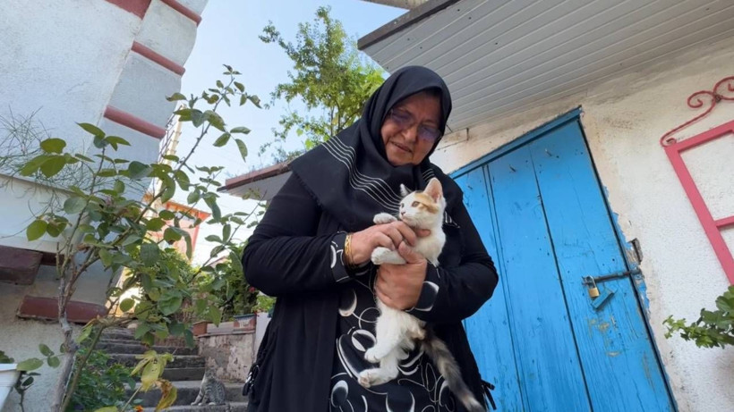 Ağaçlara kazak ören kadın. Bütün mahalle onu konuşuyor - Resim: 3