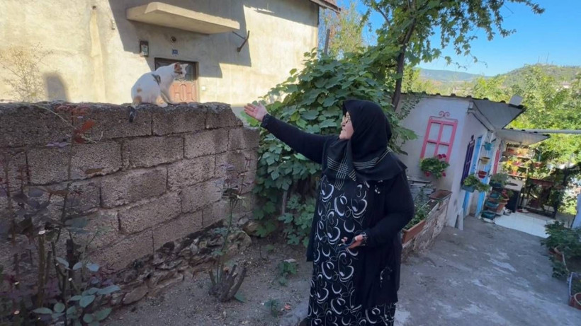 Ağaçlara kazak ören kadın. Bütün mahalle onu konuşuyor - Resim: 8