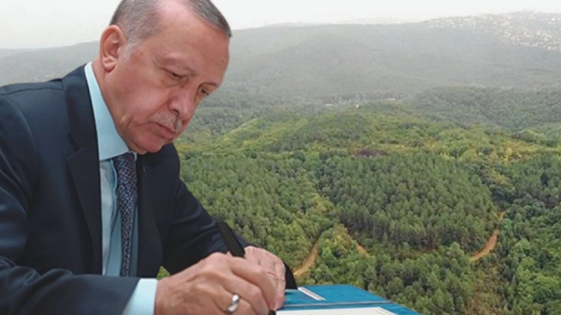 27 ilde bazı alanlar orman sınırları dışına çıkarıldı - Resim : 1