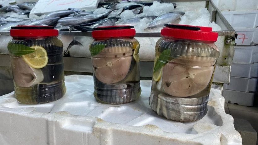 Palamutta “Kestane karası”nı sakın beklemeyin. Şaşıracaksınız - Resim: 7