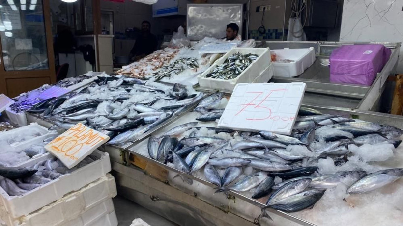 Palamutta “Kestane karası”nı sakın beklemeyin. Şaşıracaksınız - Resim: 9