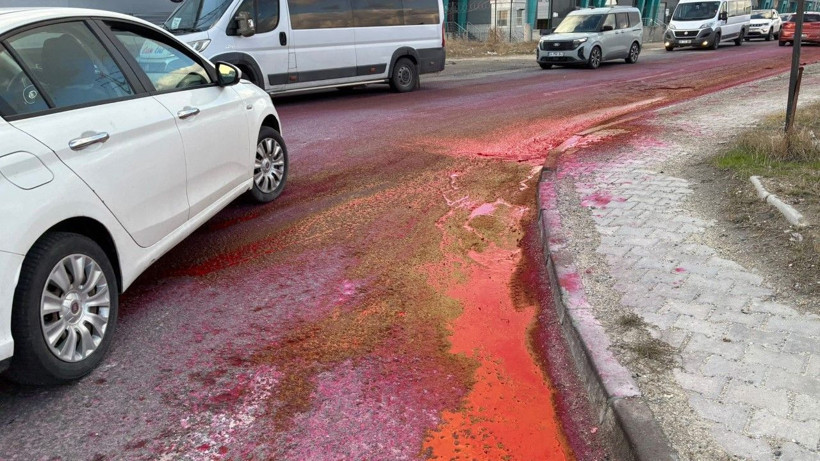 Yol kırmızıya boyandı! Görenler şaşkına döndü - Resim: 2
