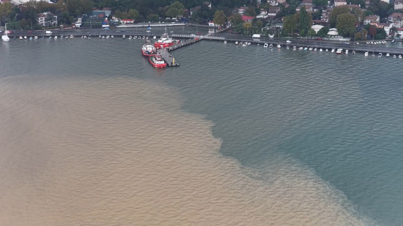 İstanbul'da yağışın ardından ortaya çıktı. Boğaz'ın rengi değişti - Resim : 4
