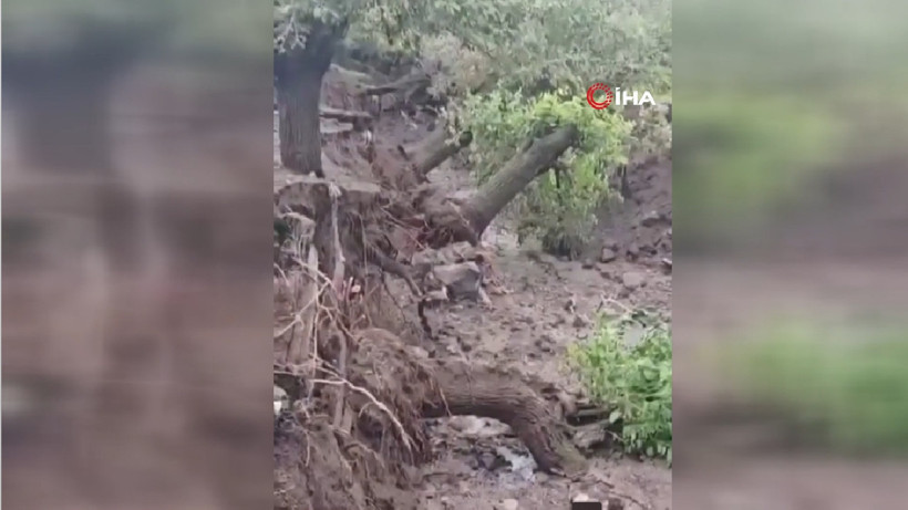 Ağaç köklerinin önemi ortaya çıktı. Bu fotoğraf okulda ders olarak okutulmalı - Resim : 4