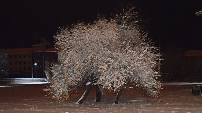 Altı şehri kar kapladı - Resim : 2
