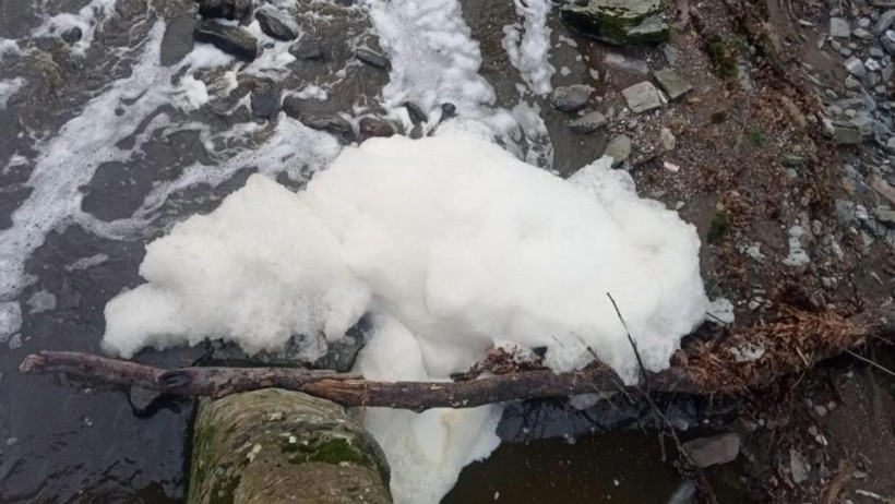 Ketenlik Deresi zehirle kaplandı - Resim : 1