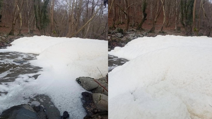 Ketenlik Deresi zehirle kaplandı - Resim : 2