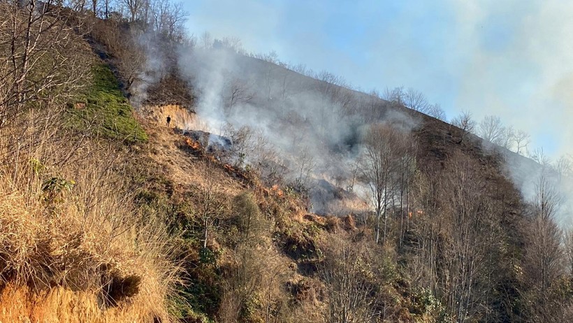 Rize’de anız ateşi ormana sıçradı: Yangın kontrol altına alınamadı - Resim : 2