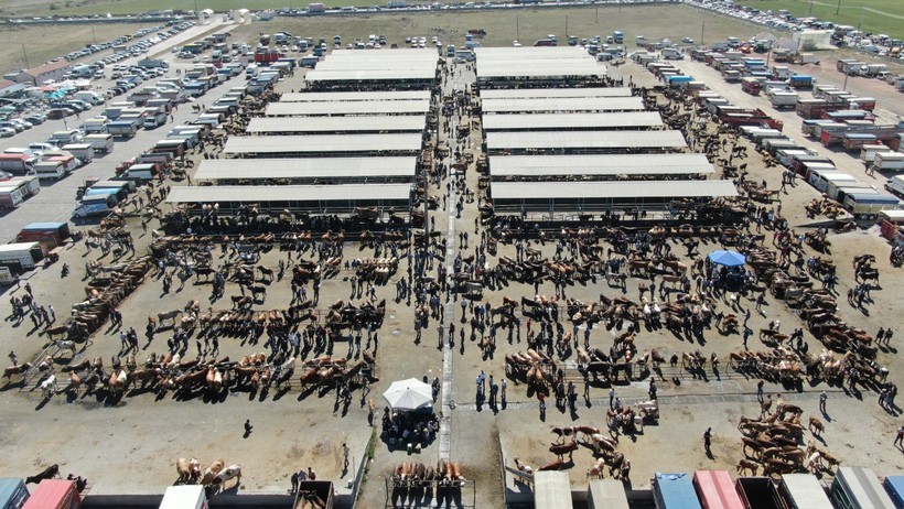 Şap alarmı! Türkiye'nin en büyük hayvan pazarı kapatıldı - Resim : 1