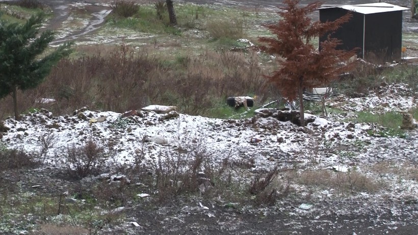 İstanbul'da kar yağışı başladı - Resim : 1