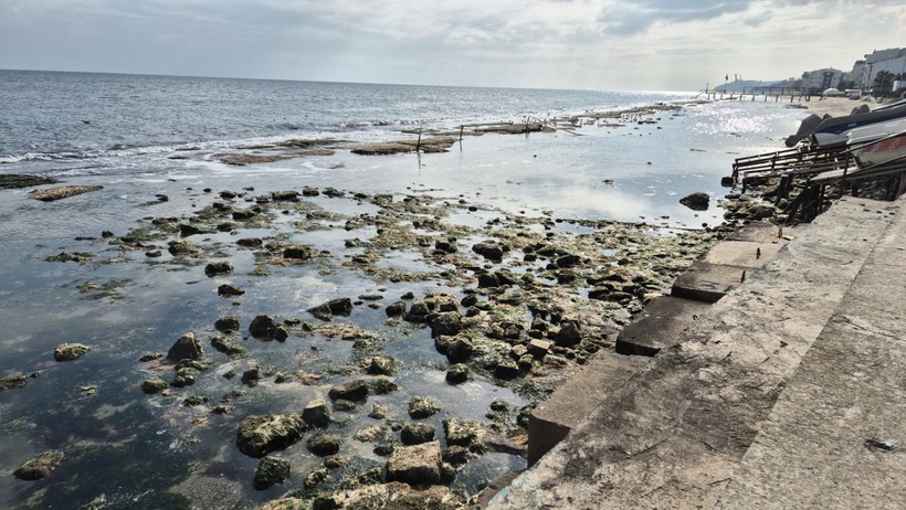 Marmara Denizi 10 metre çekildi, Kral Yolu ortaya çıktı - Resim : 1