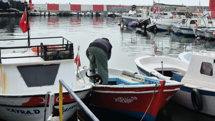 Balıkçıları dört gözle bekliyorlar - Resim : 3