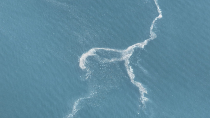 Müsilaj yüzeye çıktı: Kilometrelere yayıldı - Resim : 1