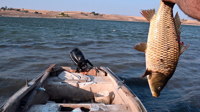 Bozkırın ortasında yılda 716 ton balık üretiyorlar - Resim : 2