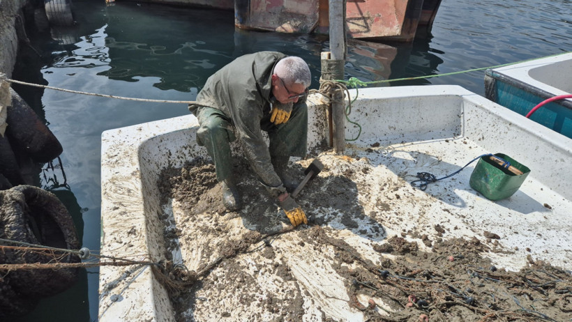Balık için ağ atıp müsilaj çekiyorlar - Resim : 2