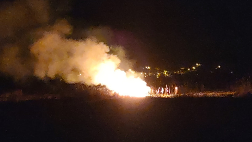Birçok kuş türüne ev sahipliği yapıyordu: Alev alev yandı - Resim : 1