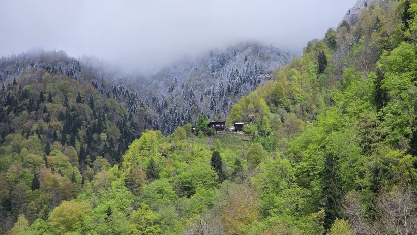 Rize'de kart postallık manzaralar - Resim: 18