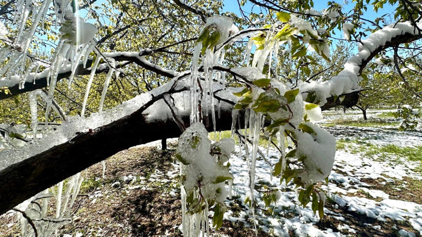 'Bu sadece bir ürün kaybı değil, ekonomik ve sosyal krizdir' - Resim : 2