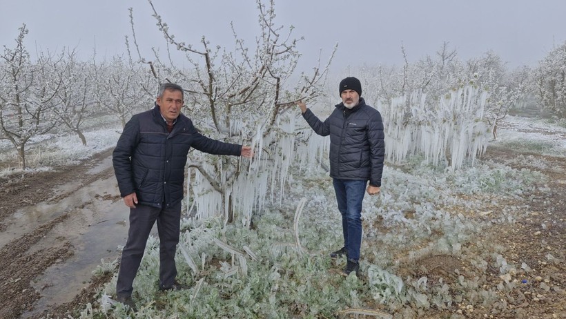 Ağaçlar dondu, vatandaş yanacak - Resim: 10