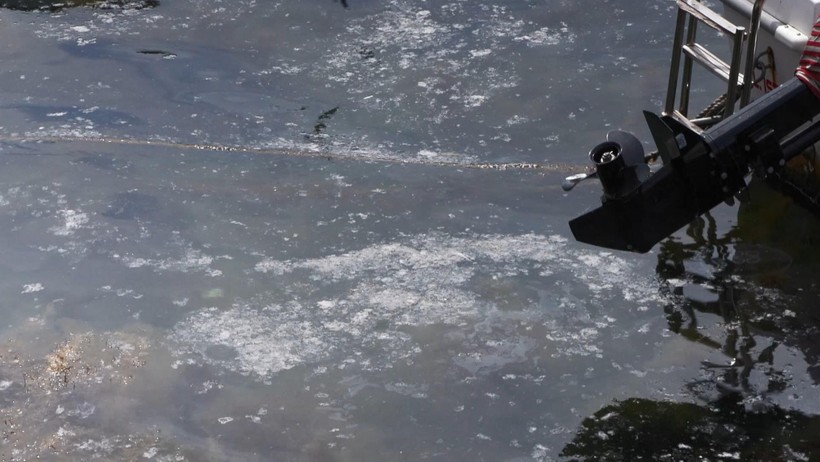Marmara Denizi bağırıyor: Yılların kirliliği yine kıyıya vurdu - Resim : 4