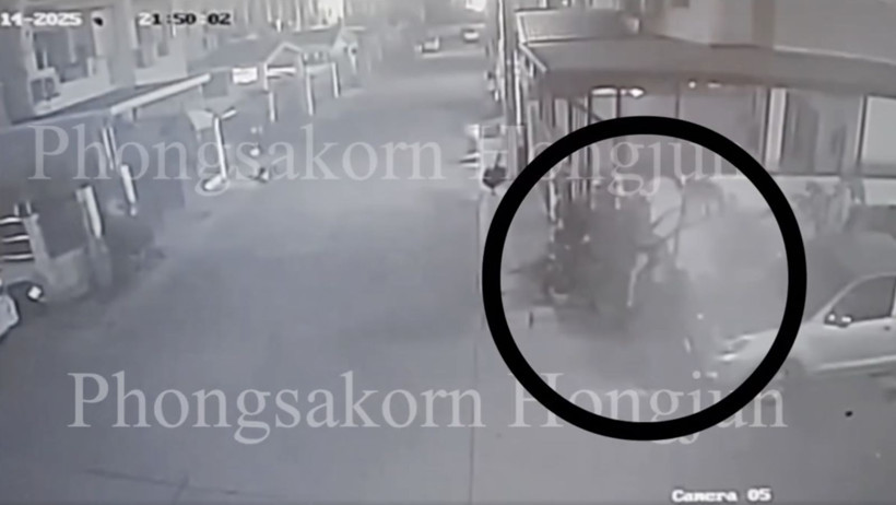 Cani anne: Sokak ortasında doğum yapıp ölüme terk etti - Resim: 1