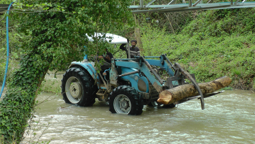 Kıyım kaldığı yerden: 'Temizliyoruz' dediler, bin 441 ağacı kestiler - Resim : 4