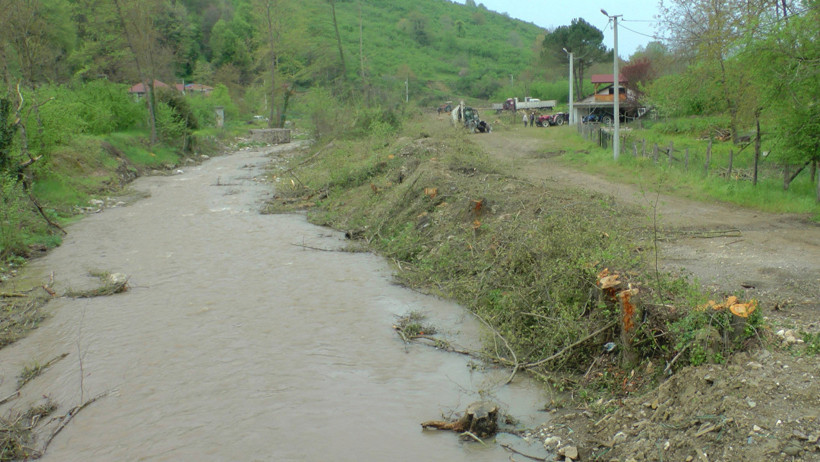 Kıyım kaldığı yerden: 'Temizliyoruz' dediler, bin 441 ağacı kestiler - Resim : 1