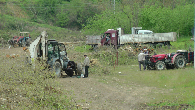 Kıyım kaldığı yerden: 'Temizliyoruz' dediler, bin 441 ağacı kestiler - Resim : 2