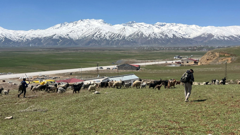 70 bin TL maaşla çoban bulamayan köylüler isyan etti: İthal edeceğiz - Resim : 1