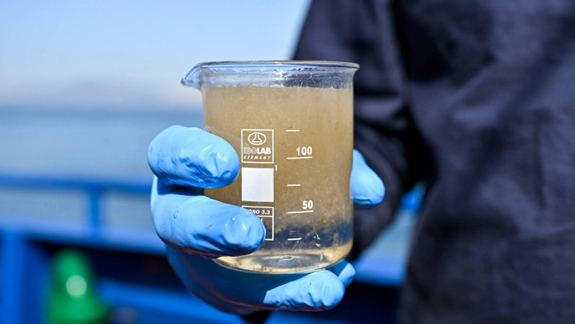 Marmara'nın kâbusu yüzeye çıkmaya hazırlanıyor: Müsilaj sil baştan - Resim : 2