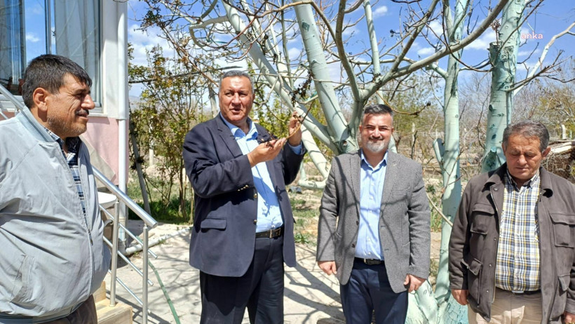 Durum vahim: 'Bu yıl 250 bin ton hasat bekliyorduk, hiçbir üretim alamıyoruz' - Resim : 2