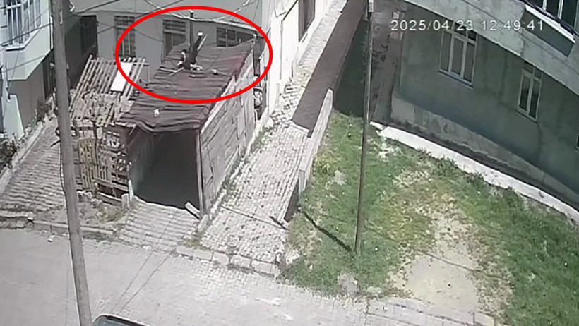 Üçüncü kattan aracın üzerine böyle atladı - Resim : 1