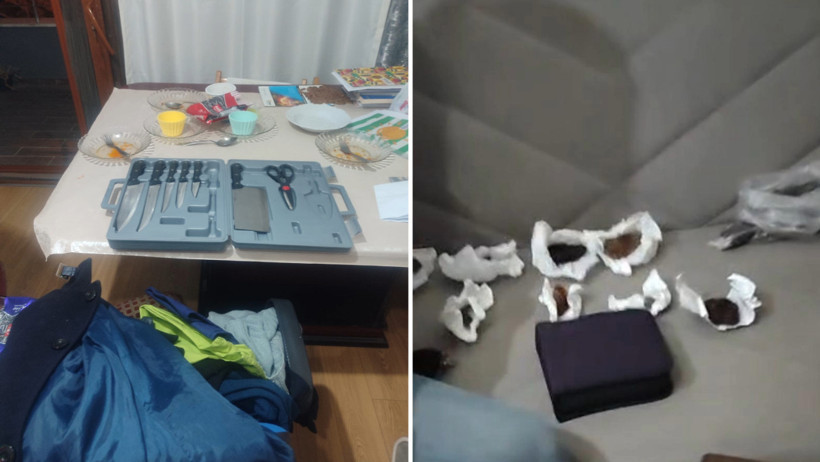 Ankara'da vahşet: Sahiplenme bahanesiyle alıp katlettiği köpeklerin sayısı çok daha fazlaymış - Resim : 1