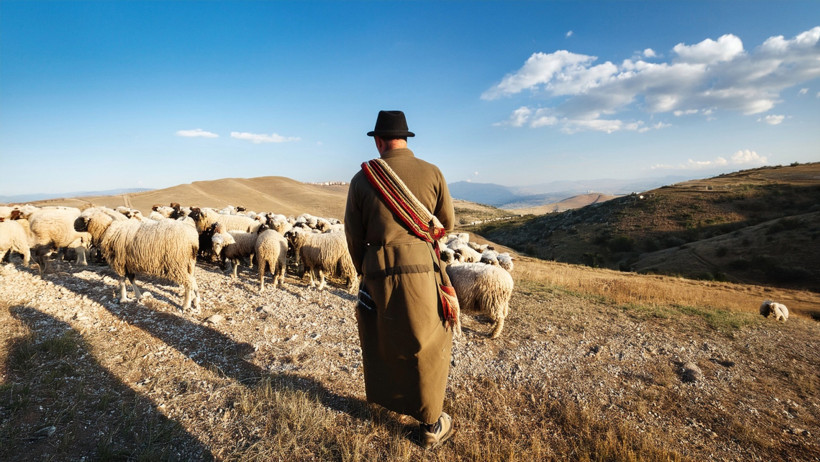 60 bin liraya çoban bulamıyor: “Gece gündüz dağdayız aylık 100 bin lira istiyoruz” - Resim : 1