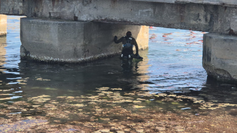 Tekirdağ'da denizin rengi karardı - Resim : 1
