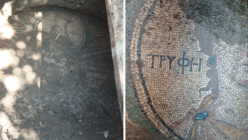 Roma mozaiği kaçak kazı ile ortaya çıktı - Resim : 1