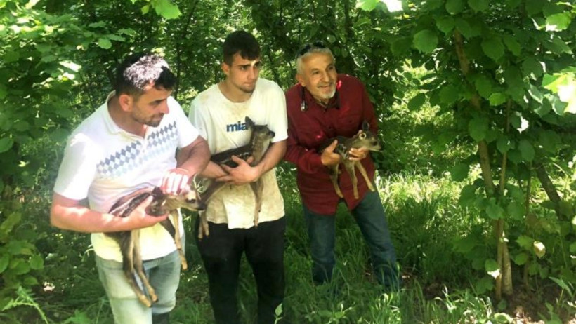 Tarlada buldular, seferber oldular - Resim : 1