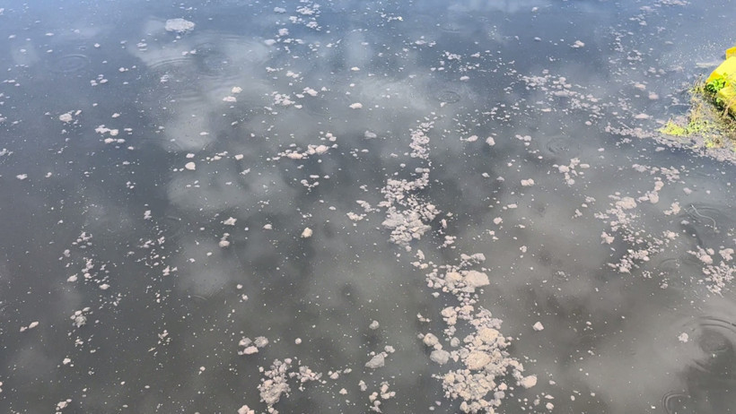 Yalova'da kanalizasyon suyu denize karıştı - Resim : 1