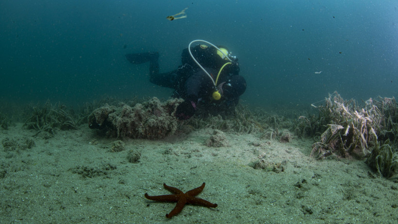 Çanakkale'de tehlike büyüyor - Resim : 1