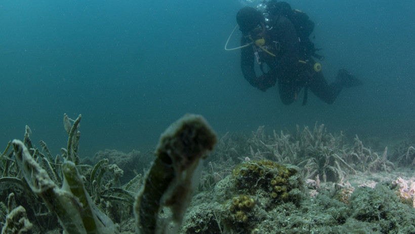 Çanakkale'de tehlike büyüyor - Resim : 3