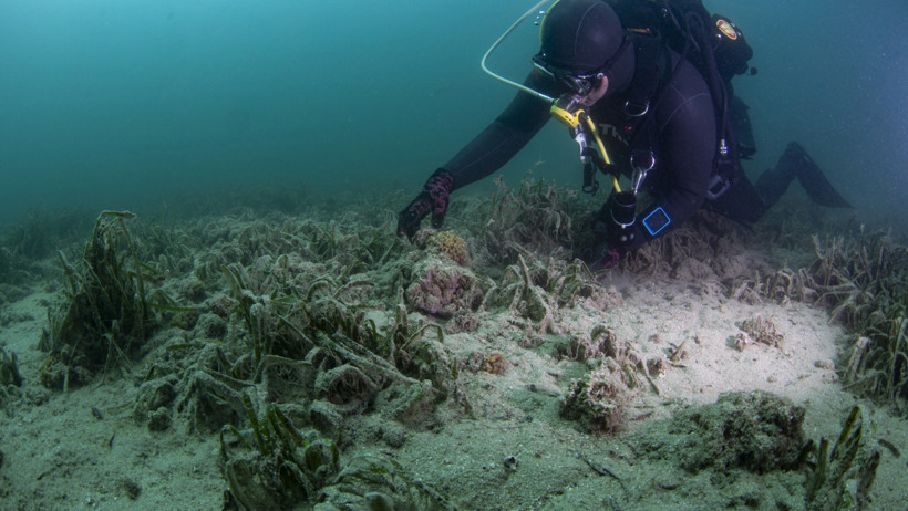 Çanakkale'de tehlike büyüyor - Resim : 4