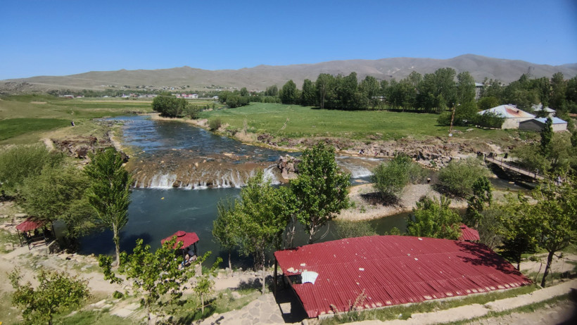İnci kefali zıplamaya başladı: Ama bu yıl işler farklı olabilir - Resim : 2