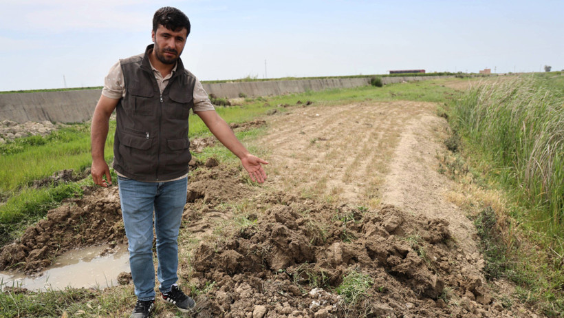 Zehirli kumpas 77 koyunu öldürdü: Kuzular annesiz kaldı - Resim : 1