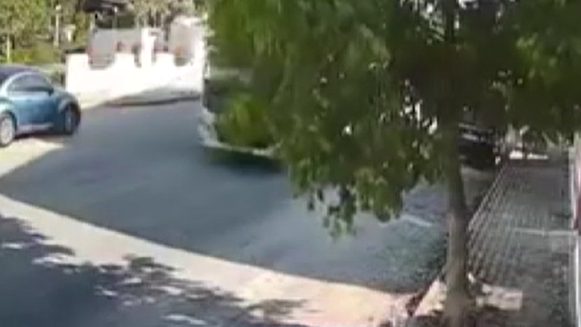 Otobüs şoförü, köpeği bilerek öldürdü - Resim : 2