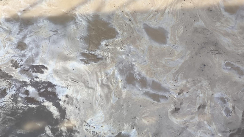 Kars Çayı'na akaryakıt karıştı - Resim : 1