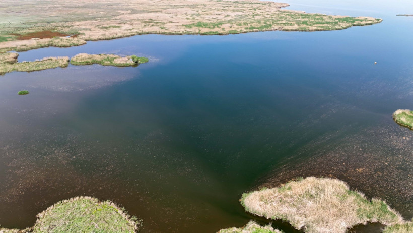 Eber Gölü kaybolmak üzere - Resim : 2