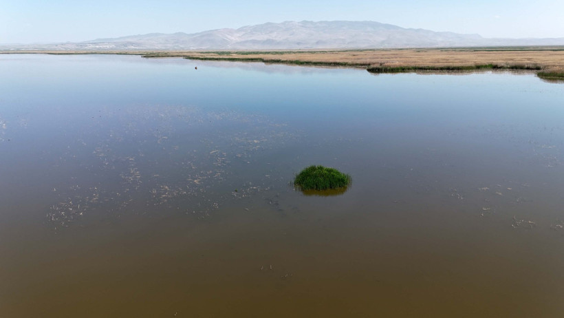 Eber Gölü kaybolmak üzere - Resim : 3