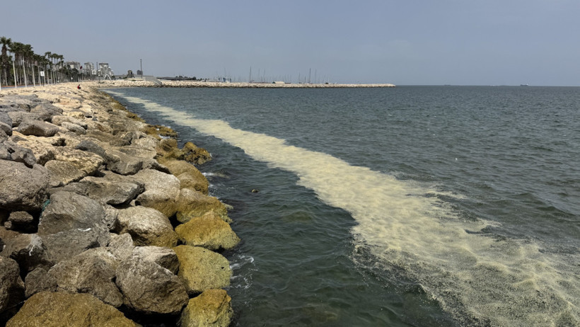 Mersin Körfezi’ni alglar sardı: Su değil yosun akıyor - Resim : 2