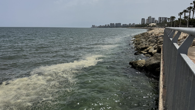 Mersin Körfezi’ni alglar sardı: Su değil yosun akıyor - Resim : 3