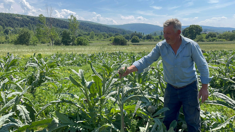 Ünü dünya çapındaydı: Hırsızlar hasat etti, 'bir tane de bize bırakmışlar' - Resim : 1